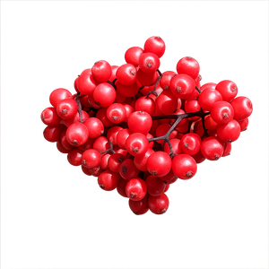 Red Berries