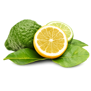 Bergamot