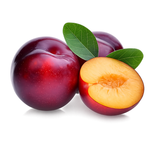  Plum