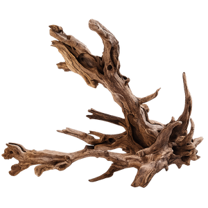 Driftwood