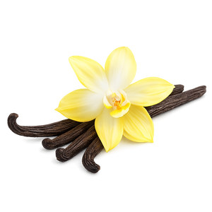 Bourbon Vanilla